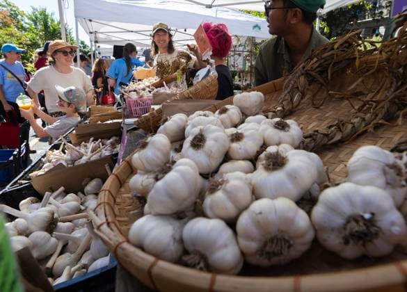 (250929) -- TORONTO, Sept. 29, 2025 -- People shop for garlic during the 14th Toronto Garlic Festival in Toronto, Canada, on Sept. 28, 2025. The annual festival was held here on Sunday to celebrate garlic s diverse culinary and cultural uses, with many visitors in attendance. (Photo by Xinhua) CANADA-TORONTO-GARLIC FESTIVAL ZouxZheng 