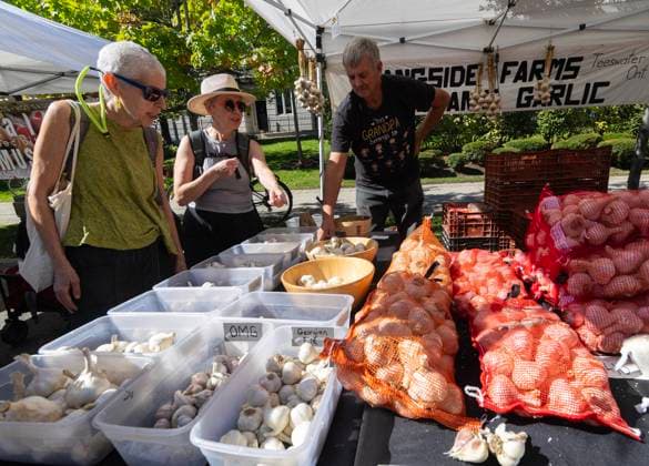 (250929) -- TORONTO, Sept. 29, 2025 -- People shop for garlic during the 14th Toronto Garlic Festival in Toronto, Canada, on Sept. 28, 2025. The annual festival was held here on Sunday to celebrate garlic s diverse culinary and cultural uses, with many visitors in attendance. (Photo by Xinhua) CANADA-TORONTO-GARLIC FESTIVAL ZouxZheng 