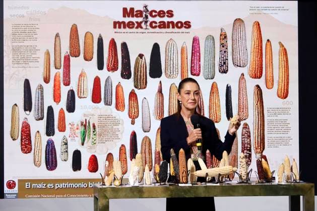 Mexican President Claudia Sheinbaum Pardo speaks during a news conference about the National Corn Day, highlighting its importance to the economy and nutrition of Mexicans, at the National Palace on September 29, 2025, in Mexico City, Mexico. Mexico City Mexico - ZUMAe321 20250929_zia_e321_003 Copyright: xLuisxBarronx