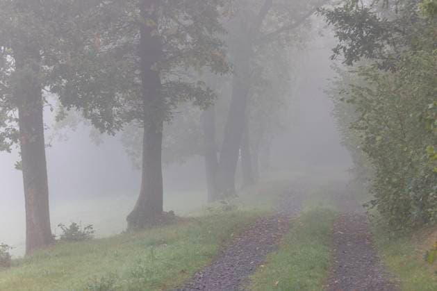 Herbst im Siegerland. Am Morgen ist es neblig in Siegen. Baeume (Bäume) stehen im Nebel bei Siegen-Oberschelden neben einem Weg. Herbst am 30.09.2025 in Siegen Deutschland. *** Autumn in Siegerland In the morning it is foggy in Siegen Trees trees stand in the fog near Siegen Oberschelden next to a path Autumn on 30 09 2025 in Siegen Germany