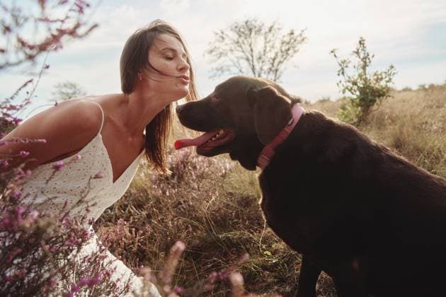 woman with her big brown labrador dog in field Amsterdam, North Holland, Netherlands CR_DIRA250930-1843282-01 ,model released, Symbolfoto