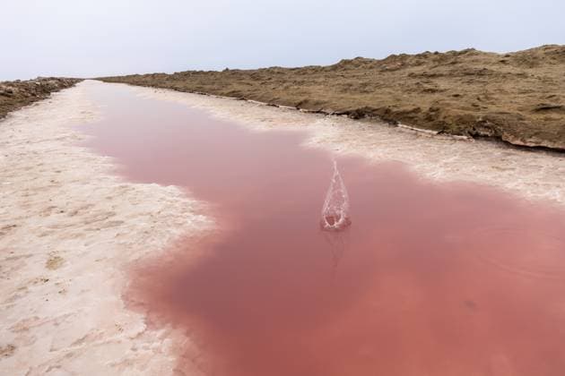 Rosafarbene Salzebenen mit mineralhaltigem Wasser in Sandwich Harbour, Namib Naukluft Nationalpark, Namibia. Zerklüftete Wüstenlandschaft mit einzigartigen Farben und Texturen, Besuch nur mit Genehmigung möglich Pink salt flats with mineral-rich water in Sandwich Harbour, Namib-Naukluft National Park, Namibia. Rugged desert landscape with unique colors and textures, permit required to visit Copyright: imageBROKER JacekxSopotnicki ibxjas15187900.jpg