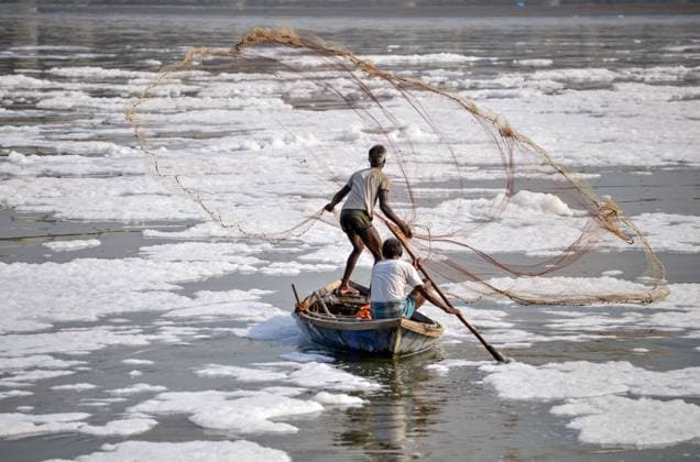 Fishermen on their boat use the fishing net to catch the fish in the toxic white foam water of ‹‹the Yamuna River New Delhi, Oct 04 (ANI): Fishermen on their boat use the fishing net to catch the fish in the toxic white foam water of ‹‹the Yamuna River at Kalindi Kunj, in New Delhi on Saturday. New Delhi Delhi India Copyright: xANIx ANI_20251004079