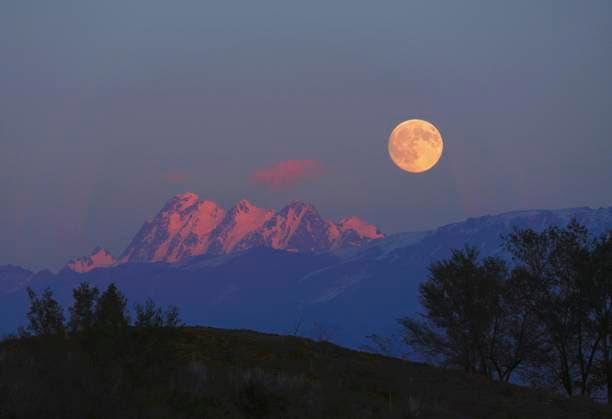 (251006) -- BEIJING, Oct. 6, 2025 -- A full moon is pictured in Urumqi, northwest China s Xinjiang Uygur Autonomous Region, Oct. 6, 2025. Monday marks this year s Mid-Autumn Festival, which is celebrated annually on the 15th day of the eighth month in the Chinese lunar calendar. People across China admire the full moon to celebrate the traditional holiday. ) CHINA-MID-AUTUMN FESTIVAL-MOON (CN) XuxHongyan 