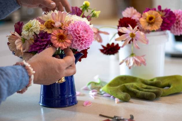Close-up of hand holding flower over garden bouquet Kelowna, British Columbia, Canada R_PESF251007A-1853818-01 ,model released, Symbolfoto