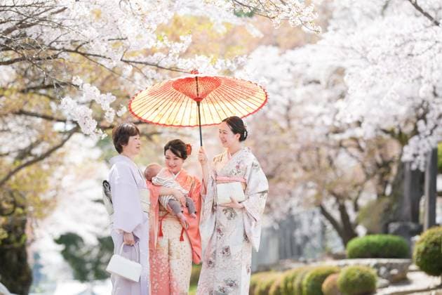 Eine Gruppe von Frauen in traditioneller japanischer Kleidung steht unter einem Regenschirm Eine Gruppe von Frauen in traditioneller japanischer Kleidung steht unter einem Regenschirm (License=RF) ,model released, Symbolfoto Copyright: xZoonar.com YujixZendax 24003606 ,model released, Symbolfoto ,property released