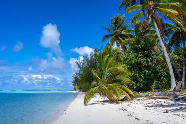 Idyllischer weißer Sandstrand mit Kokospalmen in Maupiti, Französisch-Polynesien A pristine white sand beach on Maupiti, French Polynesia, lined with lush coconut trees and facing a turquoise lagoon, creating a peaceful and tropical paradise (License=RF) Copyright: xZoonar.com LaurentxDavoustx 24040385