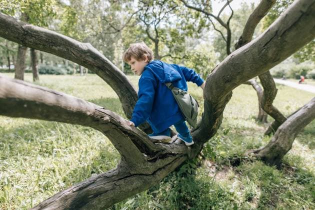 Boy climbing on tree branch in park wearing blue hoodie and sling bag Saint Petersburg, Saint Petersburg, Russia CR_KSLI251013-1862759-01 ,model released, Symbolfoto