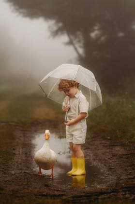 little boy in the rain hodling a umbrella witha white duck Beaver, West Virginia, United States CR_ZVBJ2510144F-1840025-01 ,model released, Symbolfoto