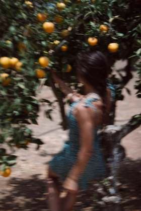 Woman is picking fresh citrus fruits from trees in a peaceful orchard on a sunny day A woman collecting ripe yellow citrus fruits from trees in a sunny orchard, showing the beauty of farm life, model released, , 60568950.jpg RECORD DATE NOT STATED