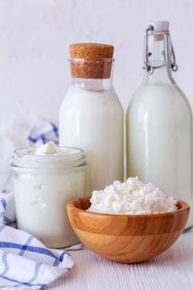 IMAGO Creative, Food, High Protein Frühstück Fermentationsprodukte von Milcherzeugnissen. Kefir, milk, homemade sour cream and cottage cheese are delicious dairy products. Concept of dietary nutrition. (License=RF) Copyright: xZoonar.com MarinaxSaprunovax 24070893