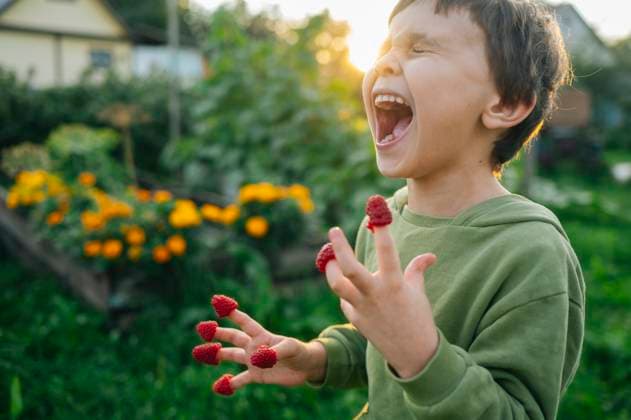 Laughing child playing with raspberries on fingers in summer garden model released, Symbolfoto, ANAF05098