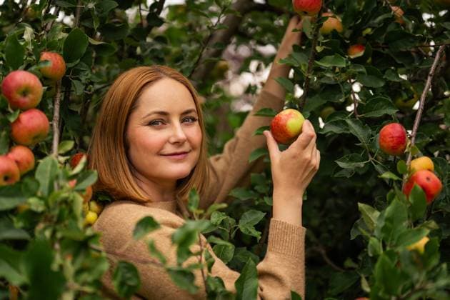 Portrait of woman harvesting apples in garden during autumn model released, Symbolfoto property released, IGEF00061