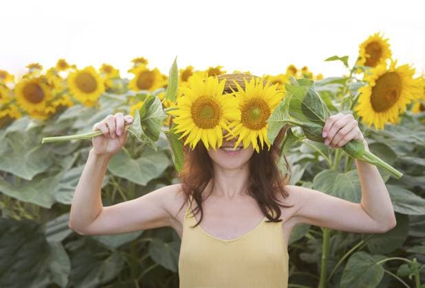 Eine weibliche Hand in einem großen Sonnenblumenfeld, die vor dem Hintergrund ihrer Augen einen großen Strauß Sonnenblumen auf dem Feld hält. Wunderbarer Sonnenschein, Sonnenuntergang A female hand in a large field of sunflowers, holding a large bouquet of sunflowers in the field against the background of her eyes. Wonderful sunshine, sunset Copyright: imageBROKER SergiyxArtsaba ibxiqx14688037.jpg ,model released, Symbolfoto ,property released