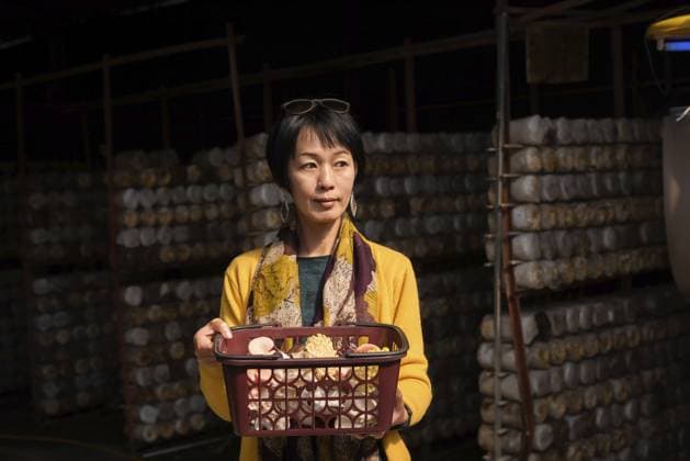 Reife asiatische Frauen reisen und besuchen eine Pilzfarm in der Gemeinde Puli, Taiwan Mature Asian woman travel and visit mushroom farm in Puli township, Taiwan Copyright: imageBROKER ChenxPengGuang ibxiqx14858843.jpg ,model released, Symbolfoto ,property released