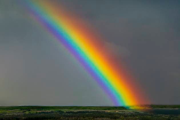 A vibrant rainbow arcs across a dark, cloudy sky above a lush green landscape. Calgary, Canada Calgary Canada inmi08082 Copyright: xConnectxImagesx