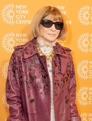 October 29, 2025, Bronx, New York, USA: Anna Wintour wearing coat by Burberry and dress by Alexander McQueen attends opening night for musical Bat Boy: The Musical at City Center in New York, NY on October 29, 2025. Bronx USA - ZUMAr339 20251029_znp_r339_023 Copyright: xLevxRadinx