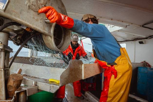 Commercial fishing and bycatch off the coast of Maine, USA - 28 Sept 2022 September 27, 2022, Portland, Maine, United States: A crew member aboard a commercial fishing boat cranks the lever of a machine hauling fishing nets out of the sea while another crew member untangles fish from the nets off the coast of Maine. A board a gillnet fishing boat, crew haul their catch of monkfish, pollock, and cod from the early hours of the morning until late at night. The fishing industry in Maine has recently taken a blow with a new set of restrictions on fishing and the environmental organization Seafood Watch recommending for people to avoid eating American lobster. This listing and regulation pose fresh threats to fishers livelihoods. While fisherfo Copyright: xMaileexOsten-Tanx