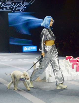 SHANGHAI, CHINA - OCTOBER 31: A pet owner and her pet walk the runway during the 5th Petjoy Fashion Week at Shanghai Fashion Center on October 31, 2025 in Shanghai, China. The 2025 Petjoy Fashion Week opened on October 31 in Shanghai, bringing together global brands, innovative designs, and lifestyle trends that highlight the fast-growing pet industry.  Copyright: xVCGx 111600987219