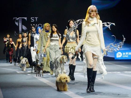 SHANGHAI, CHINA - OCTOBER 31: A pet owner and her pet walk the runway during the 5th Petjoy Fashion Week at Shanghai Fashion Center on October 31, 2025 in Shanghai, China. The 2025 Petjoy Fashion Week opened on October 31 in Shanghai, bringing together global brands, innovative designs, and lifestyle trends that highlight the fast-growing pet industry.  Copyright: xVCGx 111600987233