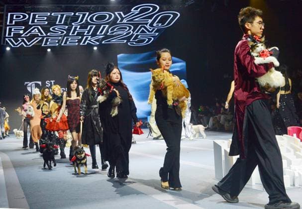 SHANGHAI, CHINA - OCTOBER 31: Pet owners and their pets walk the runway during the 5th Petjoy Fashion Week at Shanghai Fashion Center on October 31, 2025 in Shanghai, China. The 2025 Petjoy Fashion Week opened on October 31 in Shanghai, bringing together global brands, innovative designs, and lifestyle trends that highlight the fast-growing pet industry.  Copyright: xVCGx 111600987242
