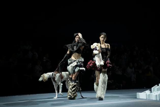 5th PETJOY FASHIION WEEK in Shanghai The owner walked the runway with their pet at the 5th PETJOY FASHIION WEEK in Shanghai, China on November 1, 2025. Shanghai Shanghai China  Copyright: xCFOTOx i1762038397566