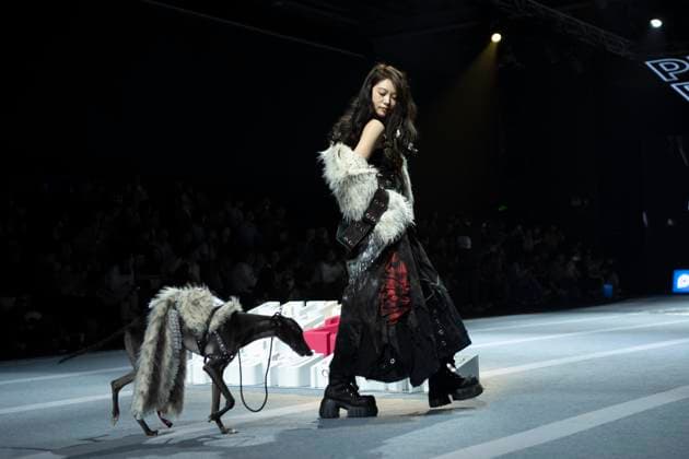 5th PETJOY FASHIION WEEK in Shanghai The owner walked the runway with their pet at the 5th PETJOY FASHIION WEEK in Shanghai, China on November 1, 2025. Shanghai Shanghai China  Copyright: xCFOTOx i1762038397924