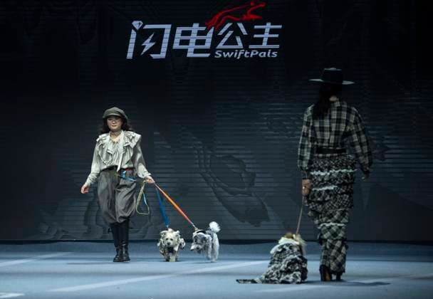 5th PETJOY FASHIION WEEK in Shanghai The owner walked the runway with their pet at the 5th PETJOY FASHIION WEEK in Shanghai, China on November 1, 2025. Shanghai Shanghai China  Copyright: xCFOTOx i1762038398528