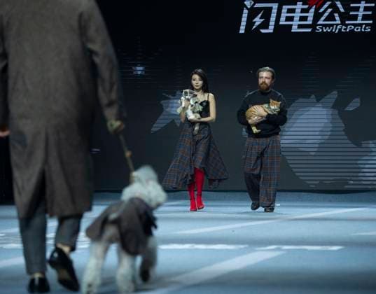 5th PETJOY FASHIION WEEK in Shanghai The owner walked the runway with their pet at the 5th PETJOY FASHIION WEEK in Shanghai, China on November 1, 2025. Shanghai Shanghai China  Copyright: xCFOTOx i1762038398675