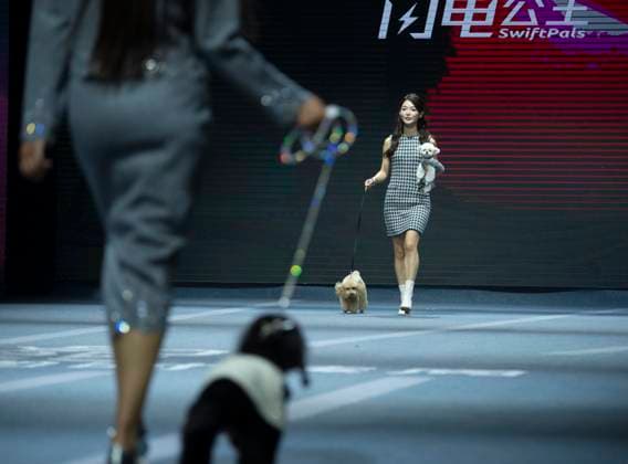 5th PETJOY FASHIION WEEK in Shanghai The owner walked the runway with their pet at the 5th PETJOY FASHIION WEEK in Shanghai, China on November 1, 2025. Shanghai Shanghai China  Copyright: xCFOTOx i1762038399261