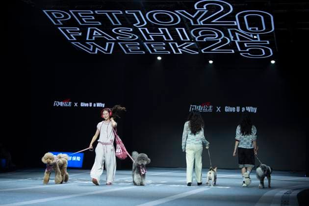 5th PETJOY FASHIION WEEK in Shanghai The owner walked the runway with their pet at the 5th PETJOY FASHIION WEEK in Shanghai, China on November 1, 2025. Shanghai Shanghai China  Copyright: xCFOTOx i1762038400439