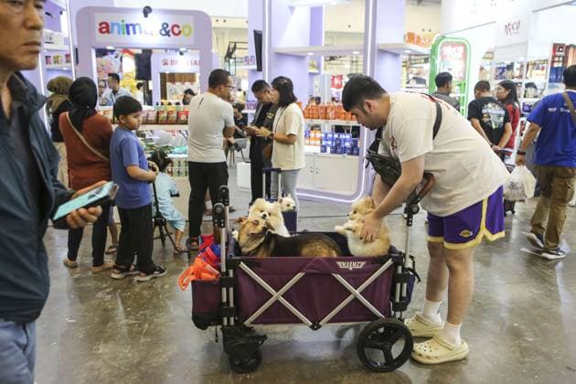 Indonesia International Pet Expo 2025 TANGERANG, INDONESIA - NOVEMBER 2 : Visitor bring a dog during the Indonesia International Pet Expo (IIPE) 2025 in Tangerang, Banten Province, Indonesia, on November 2, 2025. Featuring more than 300 exhibitors from Indonesia and abroad, the Indonesia International Pet Expo (IIPE) is one of the country’s leading platforms for pet products and services, attracting pet owners, animal communities, and industry professionals. Agoes Rudianto Anadolu Tangerang Indonesia. Editorial use only. Please get in touch for any other usage.  Copyright: x2025xAnadoluxAgoesxRudiantox