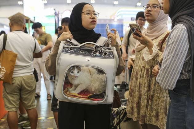 Indonesia International Pet Expo 2025 TANGERANG, INDONESIA - NOVEMBER 2 : Visitor bring a cat during the Indonesia International Pet Expo (IIPE) 2025 in Tangerang, Banten Province, Indonesia, on November 2, 2025. Featuring more than 300 exhibitors from Indonesia and abroad, the Indonesia International Pet Expo (IIPE) is one of the country’s leading platforms for pet products and services, attracting pet owners, animal communities, and industry professionals. Agoes Rudianto Anadolu Tangerang Indonesia. Editorial use only. Please get in touch for any other usage.  Copyright: x2025xAnadoluxAgoesxRudiantox