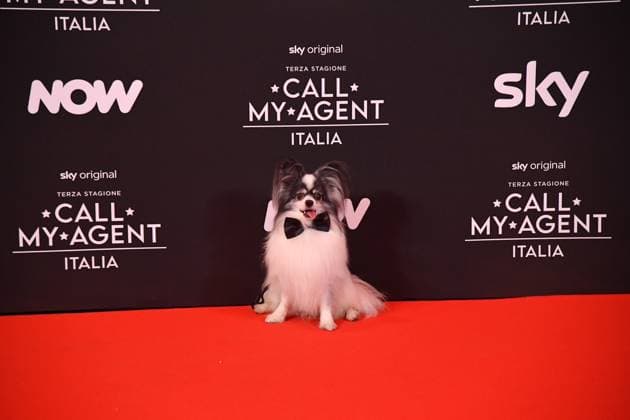 Rome, Cinema The Space Moderno Premiere of the Sky Series Call My Agent - Italy , In the photo: Diabolik Aka Marcellino  Copyright: xVincenzoxLandix xipa-agency.netx xVincenzoxLandix IPA_Agency_IPA67542418