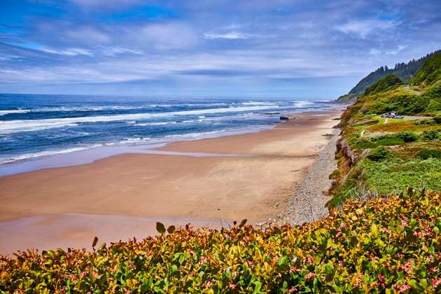 Serene Sandy Beach and Ocean Waves with Flowering Cliffside from Elevated View Explore the serene beauty of Oregon s rugged Pacific Northwest coastline. Vibrant flowering shrubs contrast with sandy beaches and lush cliffs under a calm, cloud-dappled sky. Perfect for travel and nature themes., 60925050.jpg RECORD DATE NOT STATED