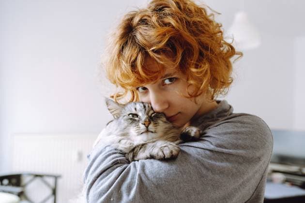 Lustiges rothaariges Teenager Mädchen hält Haustier in den Armen, umarmt und küsst die schnurrende Maine Coon Katze. Freundschaft zwischen dem Haustier und seinem Besitzer, Cat Moms Funny red-haired teenage girl holds pet in arms, hugs and kisses purring Maine Coon cat. Friendship between pet and its owner, Cat Moms Copyright: imageBROKER LarysaxStefaniuk ibxiqx15576396.jpg ,model released, Symbolfoto ,property released