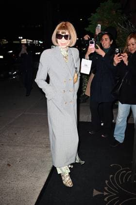 Celebrities arrive for CVFF Vogue Dinner Featuring: Anna Wintour Where: New York City, New York, United States When: 10 Nov 2025 Credit: Elder Ordonez INSTARimages EDITORIAL USE ONLY. NOT FOR USE BY NEWSPAPERS BASED IN THE UK. Copyright: xx instar55259092