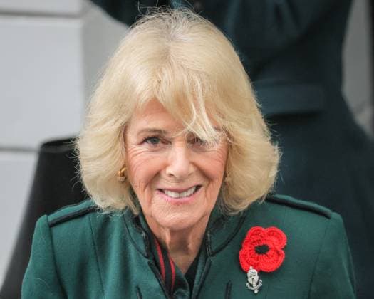 Queen Camilla joins Poppies for Paddington Commemoration at Paddiongton Station on Armistice Day, London, UK London, UK. 11th Nov, 2025. Her Majesty smiles and waves at members of the public. Queen Camilla arrives by Train into Paddington Station and joins Poppies for Paddington the Commemorations on Armistice Day. Poppies to Paddington is an annual commemoration. Poppy wreaths from around the GWR network are collected by designate trains, arriving into Paddington station before 1100, followed by a 2 minute silence and commemorative proceedings., Credit:Imageplotter Avalon  Copyright: xImageplotterx xAvalonx 1051817488