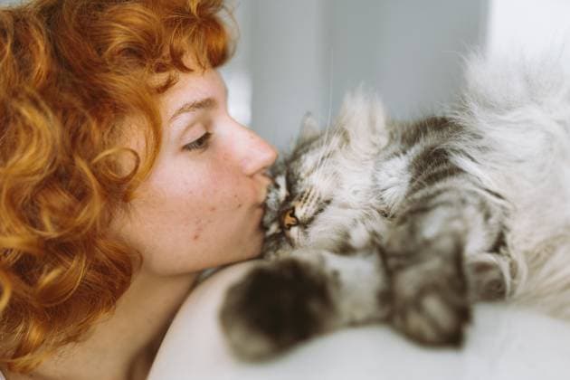 Porträt eines rothaarigen Teenagers mit grauer, flauschiger Katze, positiv gelaunt, auf verschwommenem Hintergrund zu Hause Portrait red-haired teenage girl with gray fluffy cat, in positive mood, on blurred background home Copyright: imageBROKER LarysaxStefaniuk ibxiqx15575948.jpg ,model released, Symbolfoto ,property released