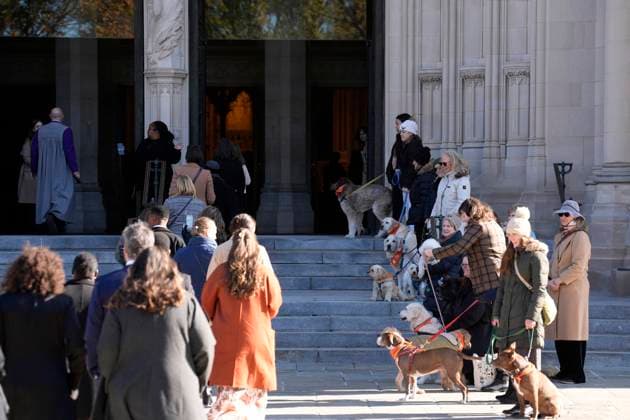 Jane Goodall funeral service - Washington Handlers stand with a dog salute as mourners arrive before the funeral service for conservationist Jane Goodall at the National Cathedral in Washington on November 12, 2025. Photo by Yuri Gripas ABACAPRESS.COM Washington DC United States  Copyright: xGripasxYuri ABACAx