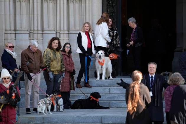 Jane Goodall funeral service - Washington Handlers stand with a dog salute as mourners arrive before the funeral service for conservationist Jane Goodall at the National Cathedral in Washington on November 12, 2025. Photo by Yuri Gripas ABACAPRESS.COM Washington DC United States  Copyright: xGripasxYuri ABACAx