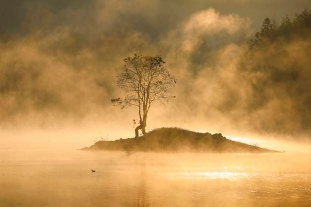 HUANGSHAN, CHINA - NOVEMBER 14: Sunlight envelops Qishu Lake with mist swirling round at the dusk of dawn on November 14, 2025 in Huangshan city, Anhui Province of China. Surrounded by mountains, the lake is located two kilometers east of Hongcun Village, a UNESCO heritage site, and it is a tourist attraction known for its beautiful natural landscape.  Copyright: xVCGx 111603846452