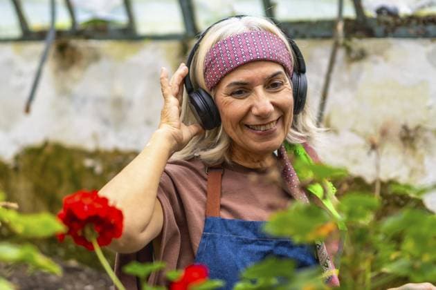 Seniorin mit Kopfhörern und Schürze, die glücklich lächelt, während sie Musik hört und in einem sonnigen Gewächshaus zwischen Pflanzen arbeitet und Freude an ihrem Hobby findet Senior woman wearing headphones and an apron, smiling happily while listening to music and working among plants in a sunny greenhouse, finding joy in her hobby Copyright: imageBROKER UnaixHuizi ibxuhu15681115.jpg ,model released, Symbolfoto ,property released