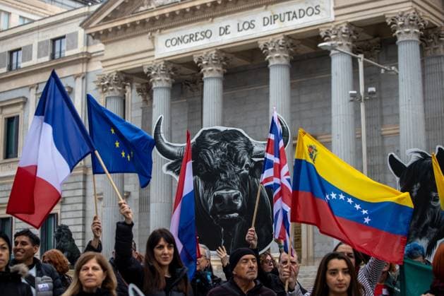 November 17, 2025, Madrid, Spain: A protester holds a placard depicting a bull s head during a demonstration demanding the abolition of bullfighting by the International Anti-Bullfighting Network in front of the Congress of Deputies in Madrid. Madrid Spain - ZUMAs197 20251117_aaa_s197_114 Copyright: xDavidxCanalesx