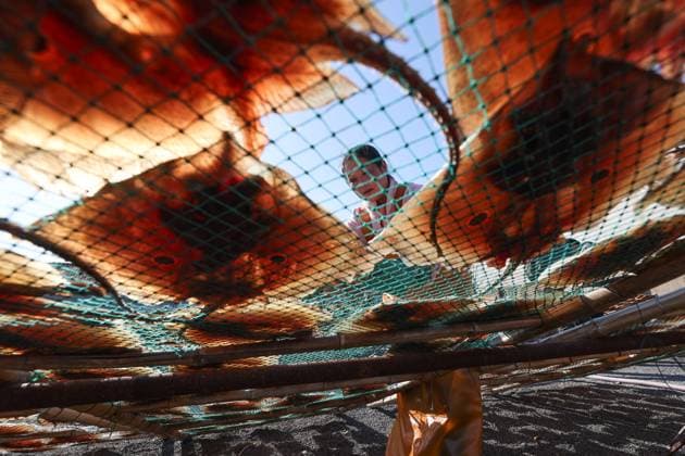LIANYUNGANG, CHINA - NOVEMBER 18: A fisherman dries fish in early winter on November 18, 2025 in Lianyungang, Jiangsu Province of China.  Copyright: xVCGx 111604585145