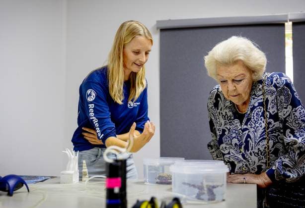 19-11-2025 Antillen Princess Beatrix visited Mangrove Maniacs and Reef Renewal Foundation Bonaire (RRFB) on the 2nd and last day of her visit to Bonaire. Â  Copyright: xPPEx
