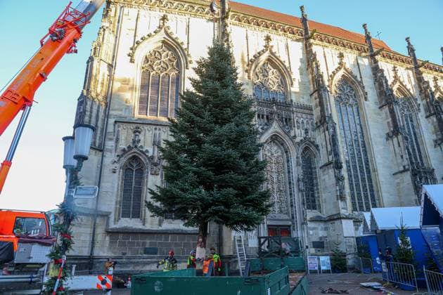 Ein Weihnachtsbaum für den Prinzipalmarkt. Rechtzeitig vor Eröffnung des Weihnachtsmarkt trifft der Baum auf dem Prinzipalmarkt ein. Mit Unterstützung der Feuerwehr Münster wird ein rund 17 Meter hoher Weihnachtsbaum auf dem Lambertikirchplatz aufgestellt. Münster, Nordrhein-Westfalen, DEU, Deutschland, 20.11.2025 *** A Christmas tree for Prinzipalmarkt The tree arrives at Prinzipalmarkt just in time for the opening of the Christmas market With the support of the Münster fire department, a Christmas tree around 17 meters high is erected on Lambertikirchplatz Münster, North Rhine-Westphalia, DEU, Germany, 20 11 2025