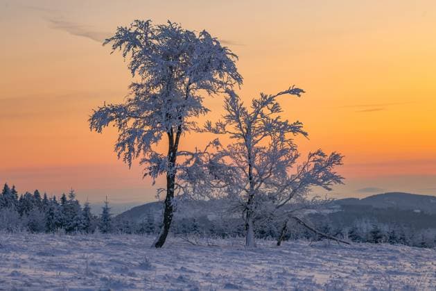 Sonnenaufgang. Traumhaftes Winterliches Wetter. Kahler Asten, die Temperaturen liegen am Morgen im Minusbereich, Eiszeit, Frostige Temperaturen im Sauerland, Hochsauerland. Die Landschaft ist zu Eis erstarrt. Winter im Sauerland, Hochsauerland am 21.11.2025 in Winterberg Deutschland. *** Sunrise Fantastic winter weather Kahler Asten, the temperatures are in the minus range in the morning, ice age, frosty temperatures in Sauerland, Hochsauerland The landscape is frozen to ice Winter in Sauerland, Hochsauerland on 21 11 2025 in Winterberg Germany