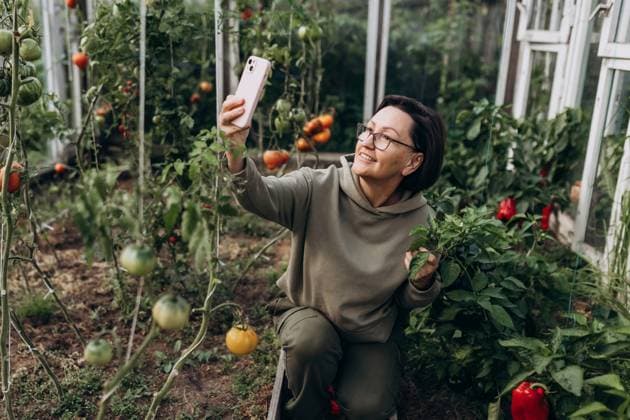 Farmer taking a selfie in organic greenhouse garden during harvest model released, Symbolfoto, MKVF00146