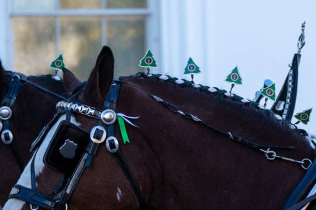 November 24, 2025, Washington, District of Columbia, United States: First Lady MELANIA TRUMP welcomes the White House Christmas Tree to the White House on November 24, 2025 Washington United States - ZUMAl312 20251124_znp_l312_012 Copyright: xAndrewxLeydenx